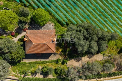 Quinta T4 para Venda em Geraz do Minho