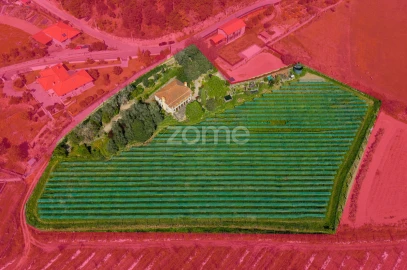 Quinta T4 para Venda em Geraz do Minho