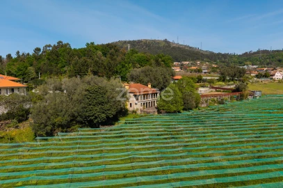 Quinta T4 para Venda em Geraz do Minho