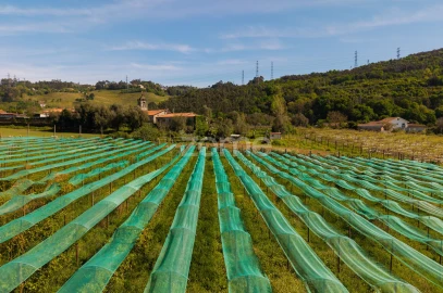 Quinta T4 para Venda em Geraz do Minho