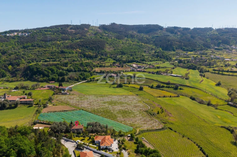 Quinta T4 para Venda em Geraz do Minho Foto 40