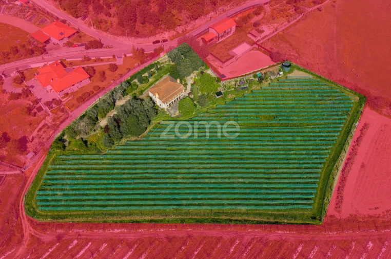 Quinta T4 para Venda em Geraz do Minho Foto 43