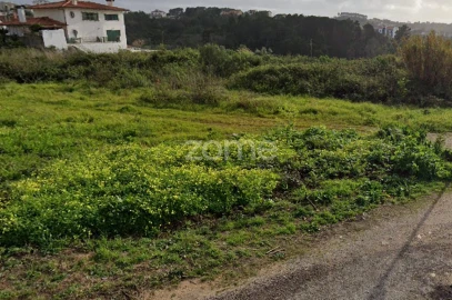 Terreno para Venda em Santa Clara e Castelo Viegas