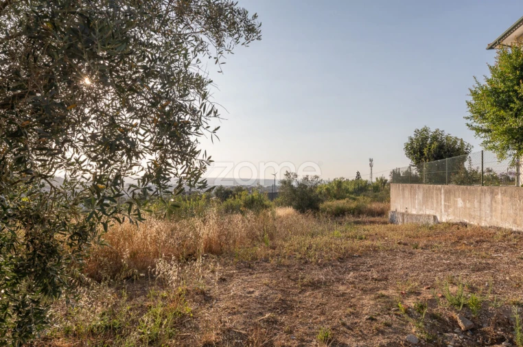 Terreno para Venda em Santa Clara e Castelo Viegas Foto 5