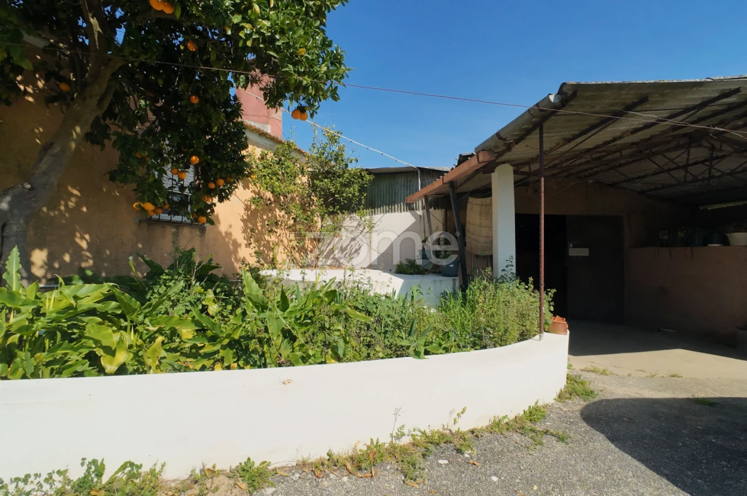 Moradia T3 para Venda em Amoreira da Gândara, Paredes do Bairro e Ancas Foto 5