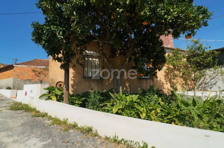 Moradia T3 para Venda em Amoreira da Gândara, Paredes do Bairro e Ancas Foto 4