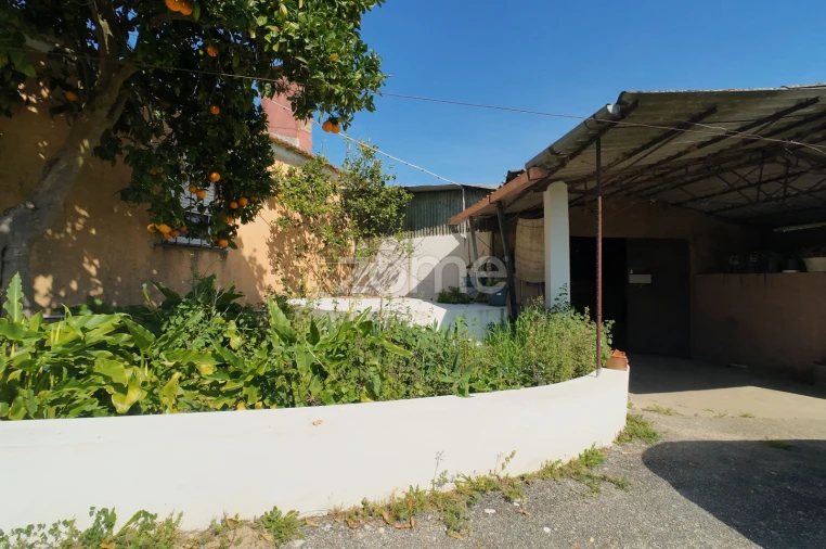 Moradia T3 para Venda em Amoreira da Gândara, Paredes do Bairro e Ancas Foto 5