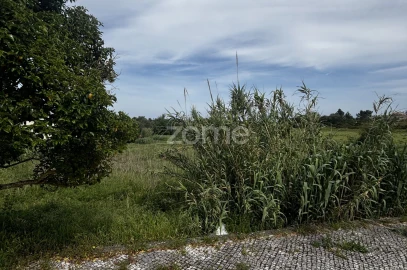 Terreno para Venda em Alhadas