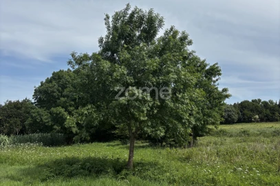 Terreno para Venda em Alhadas