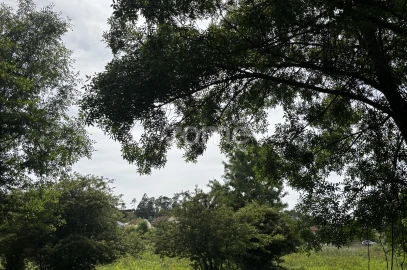 Terreno para Venda em Alhadas