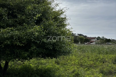 Terreno para Venda em Alhadas