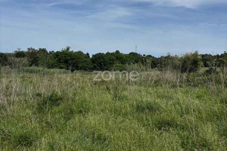 Terreno para Venda em Alhadas Foto 4
