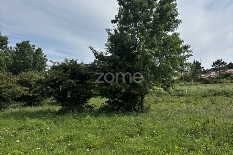 Terreno para Venda em Alhadas Foto 7