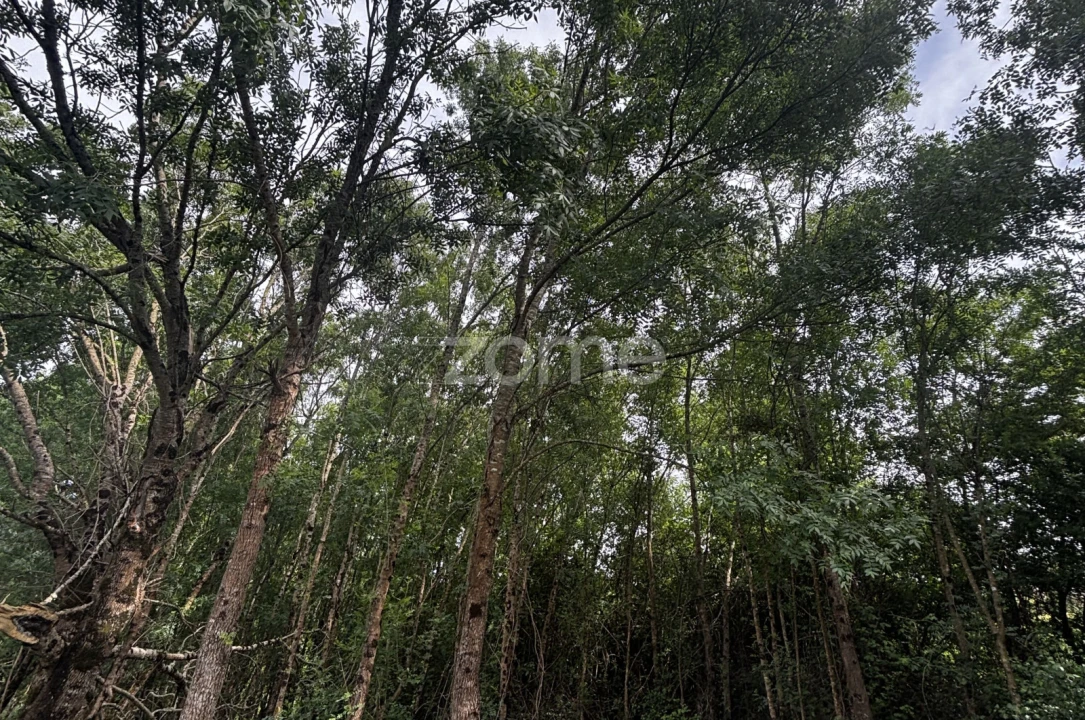 Terreno para Venda em Alhadas Foto 5