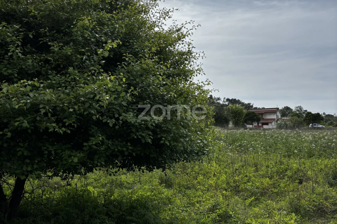 Terreno para Venda em Alhadas Foto 9