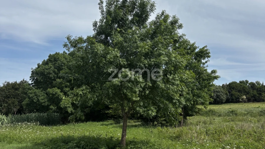 Terreno para Venda em Alhadas