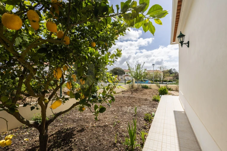 Moradia T3 para Venda em Gaeiras Foto 12