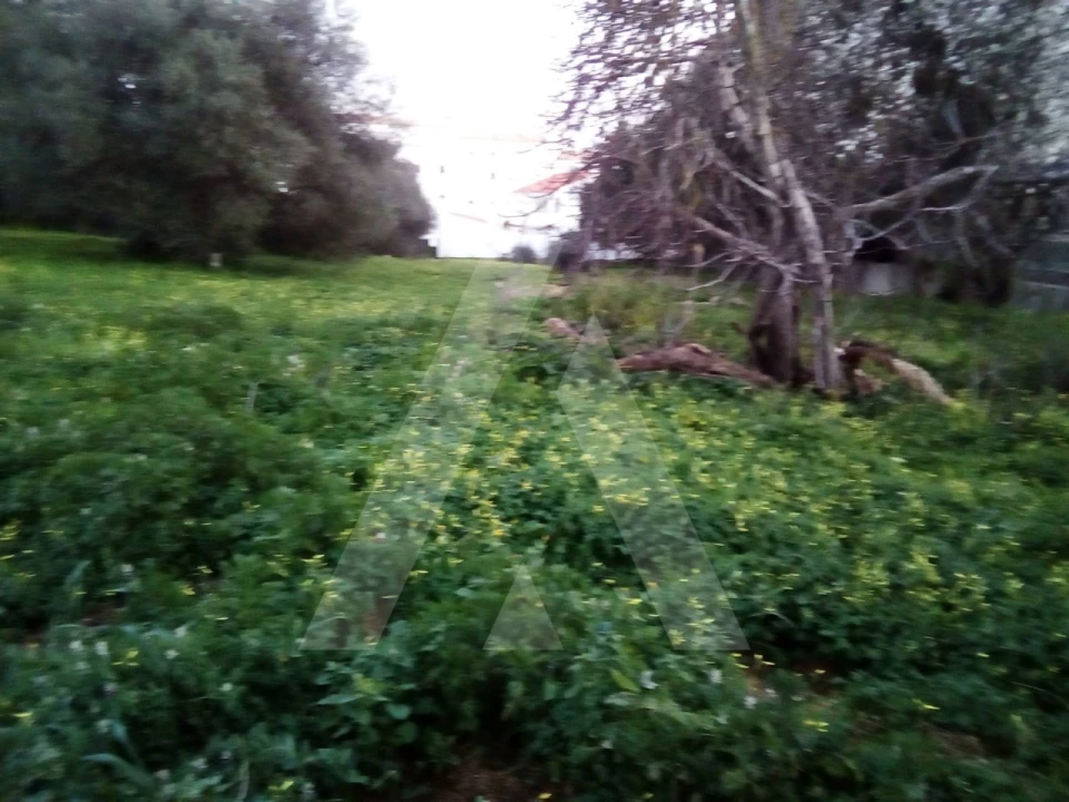 Terreno para Venda em Almancil Foto 2