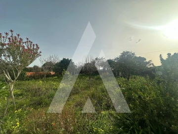 Moradia T3 para Venda em Vilarinho do Bairro