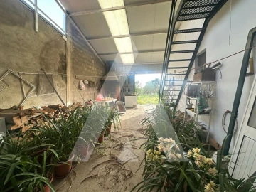 Moradia T3 para Venda em Vilarinho do Bairro