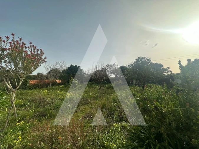 Moradia T3 para Venda em Vilarinho do Bairro Foto 27