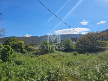 Moradia T3 para Venda em Afife