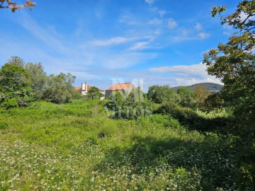 Moradia T3 para Venda em Afife