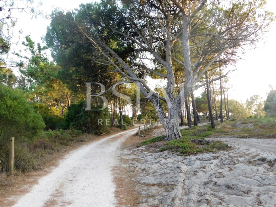 Moradia T3 para Venda em Vau Foto 30