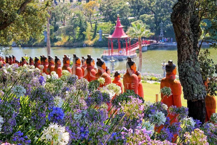 Moradia T3 para Venda em Vau Foto 32