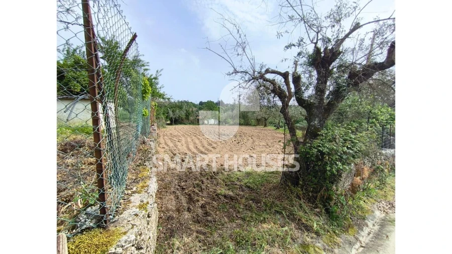 Moradia T4 para Venda em São João da Boa Vista Foto 4
