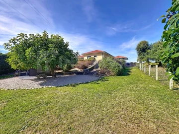 Moradia T3 para Venda em Argela