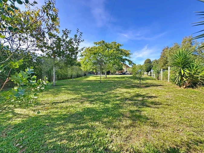 Moradia T3 para Venda em Argela Foto 25