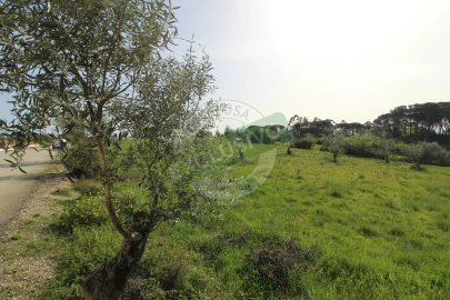 Terreno para Venda em Montemor-O-Velho e Gatões