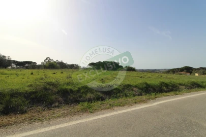 Terreno para Venda em Montemor-O-Velho e Gatões