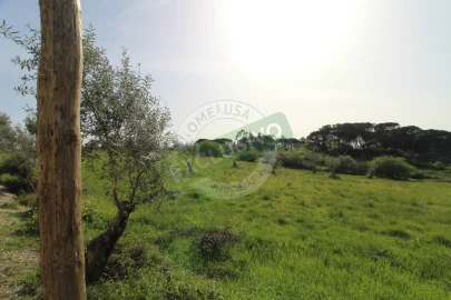 Terreno para Venda em Montemor-O-Velho e Gatões