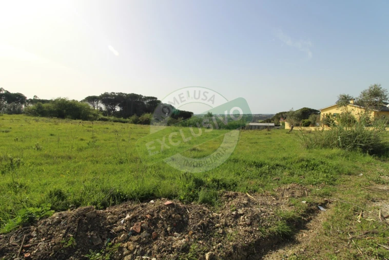 Terreno para Venda em Montemor-O-Velho e Gatões Foto 12