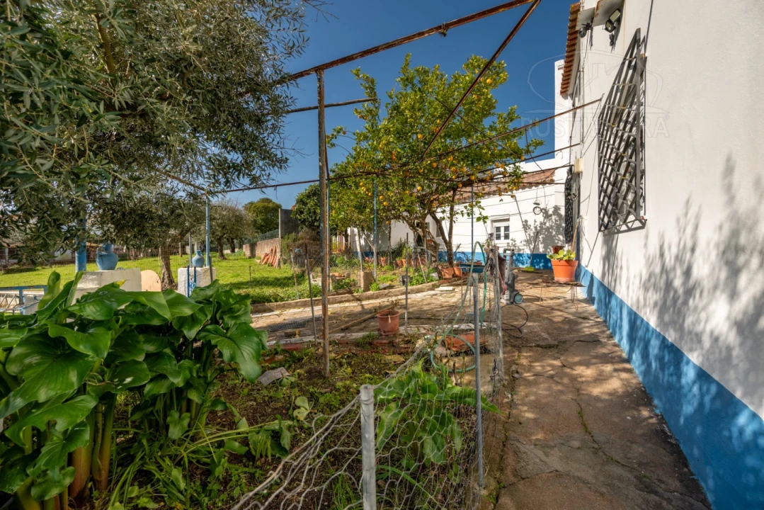 Moradia T4 para Venda em Arraiolos Foto 37