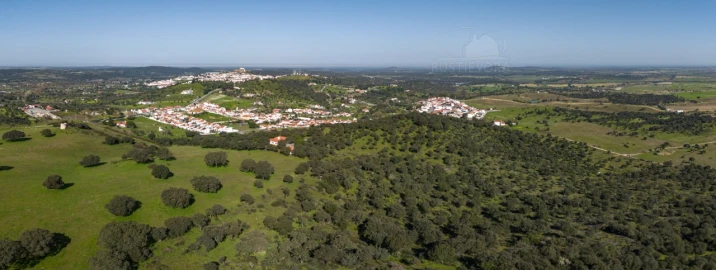 Moradia T4 para Venda em Arraiolos