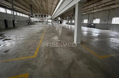 Armazém para Venda em Escapães