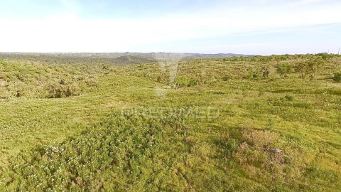 Terreno para Venda em Grândola e Santa Margarida da Serra