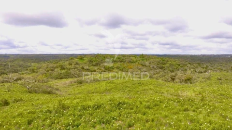 Terreno para Venda em Grândola e Santa Margarida da Serra