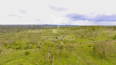 Terreno para Venda em Grândola e Santa Margarida da Serra