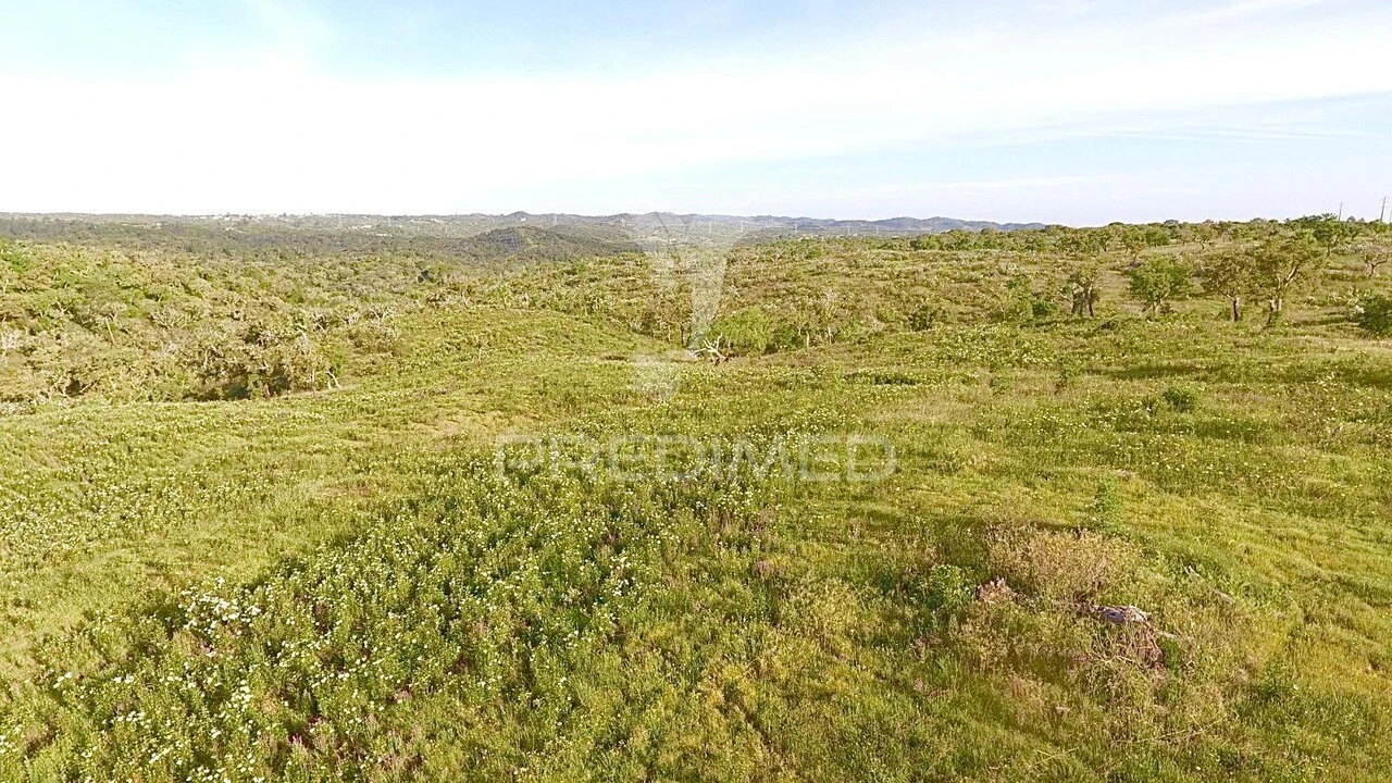Terreno para Venda em Grândola e Santa Margarida da Serra Foto 14