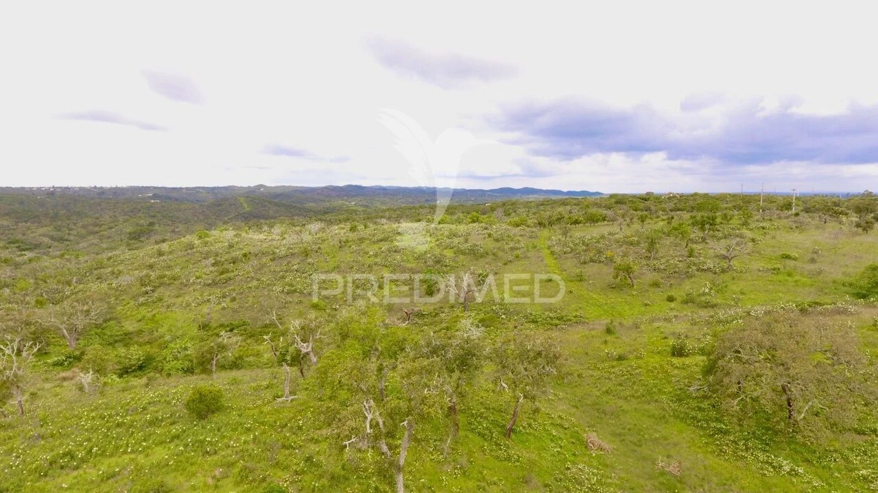 Terreno para Venda em Grândola e Santa Margarida da Serra Foto 8