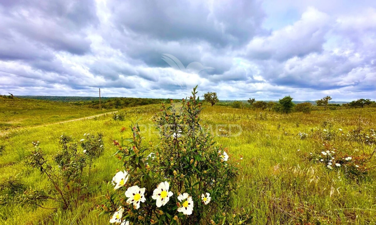 Terreno para Venda em Grândola e Santa Margarida da Serra Foto 11