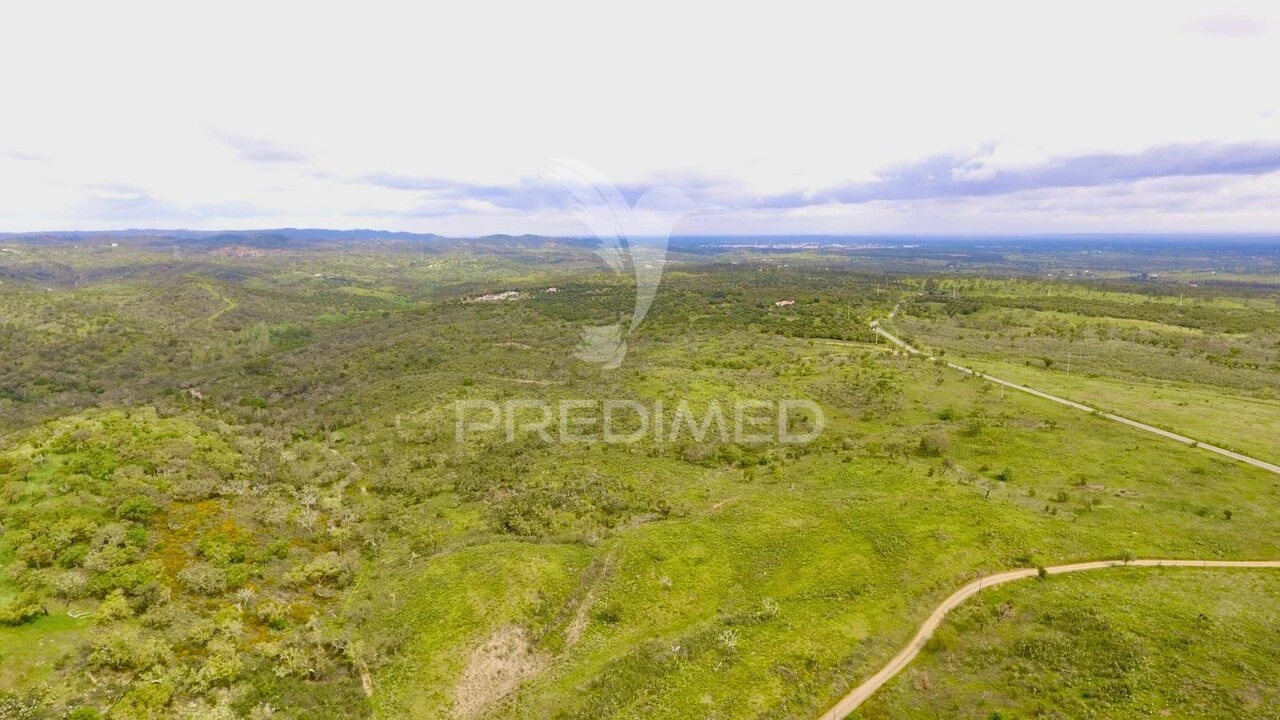 Terreno para Venda em Grândola e Santa Margarida da Serra Foto 3
