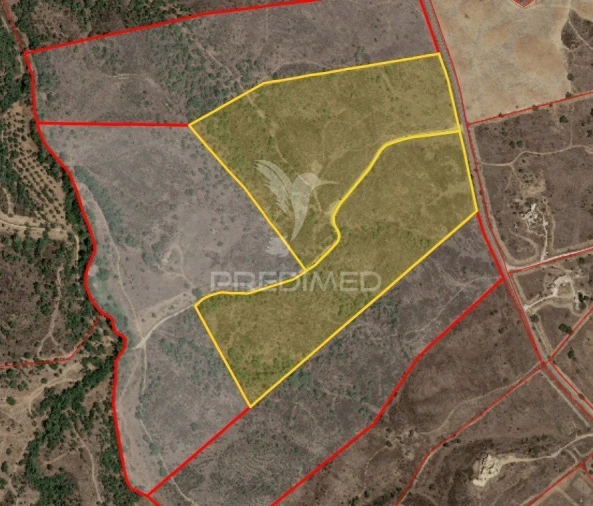 Terreno para Venda em Grândola e Santa Margarida da Serra Foto 19