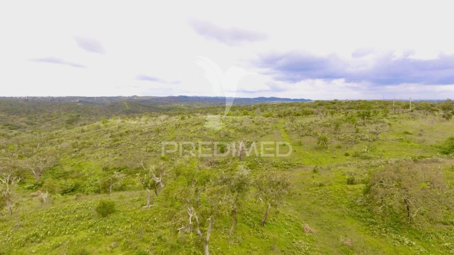 Terreno para Venda em Grândola e Santa Margarida da Serra Foto 8