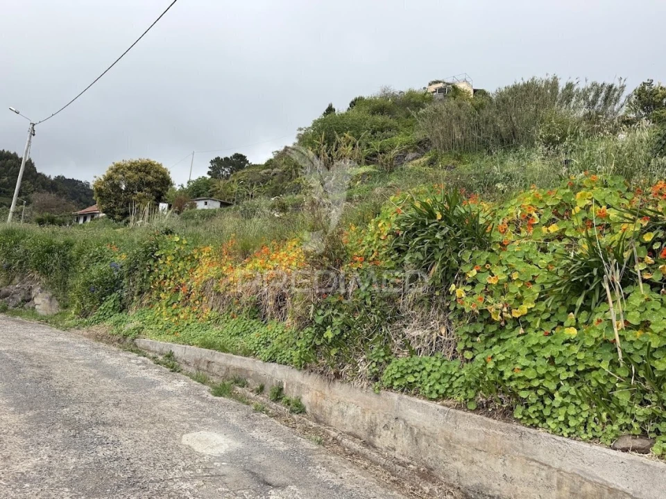 Terreno para Venda em Caniço Foto 8