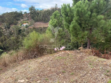 Terreno para Venda em Caniço